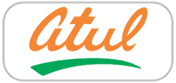 Company logo duplicate 11