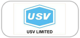 Company logo duplicate 15